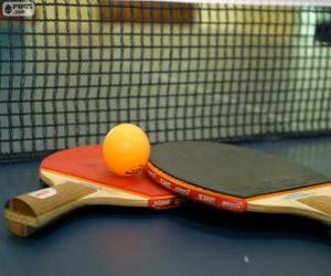 yapboz Ping-Pong raket ve Top